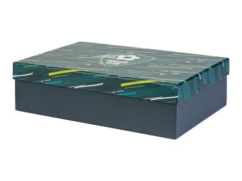 Box portaoggetti