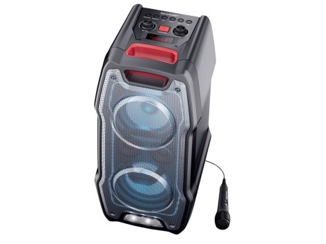Party Speaker