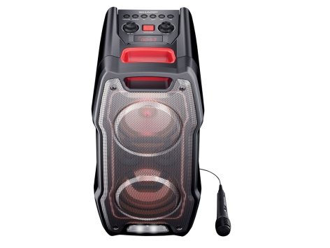 Party Speaker