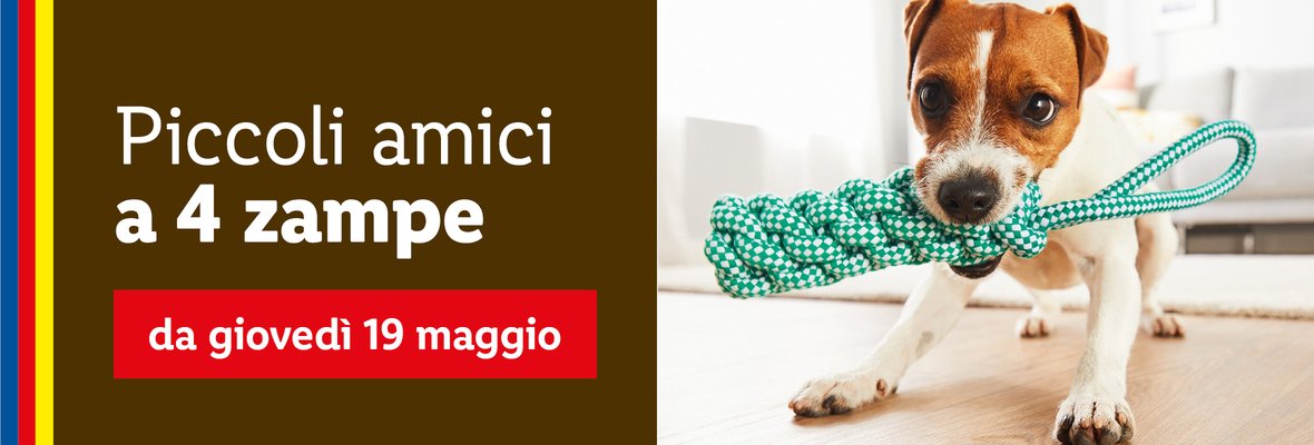 Animali domestici