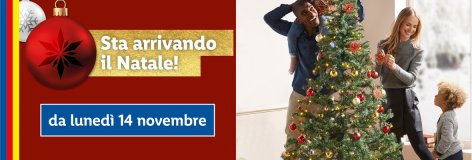 Prepariamoci al Natale! - Offerte valide da lun 14 novembre 2022