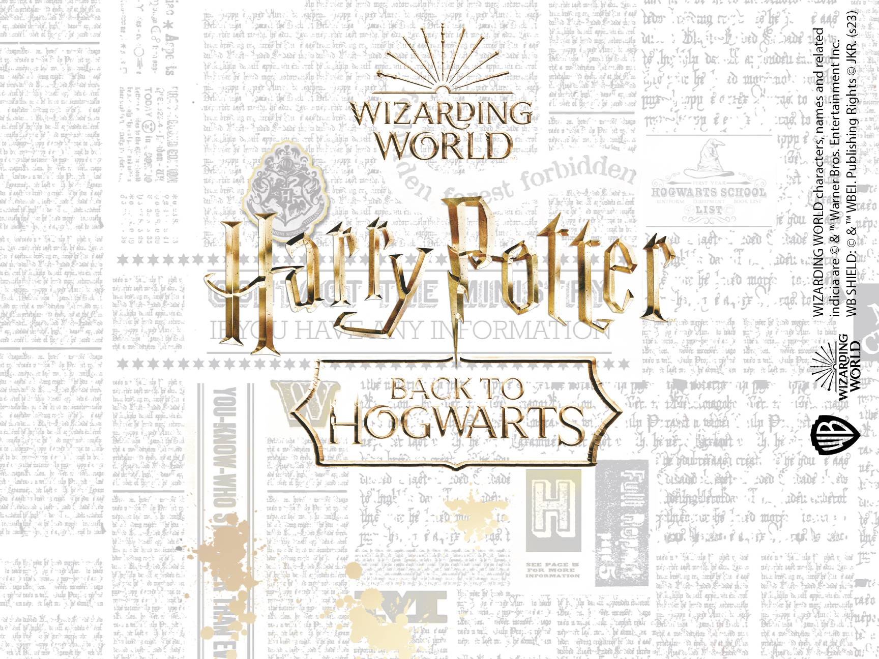 Sentirsi ad Hogwarts