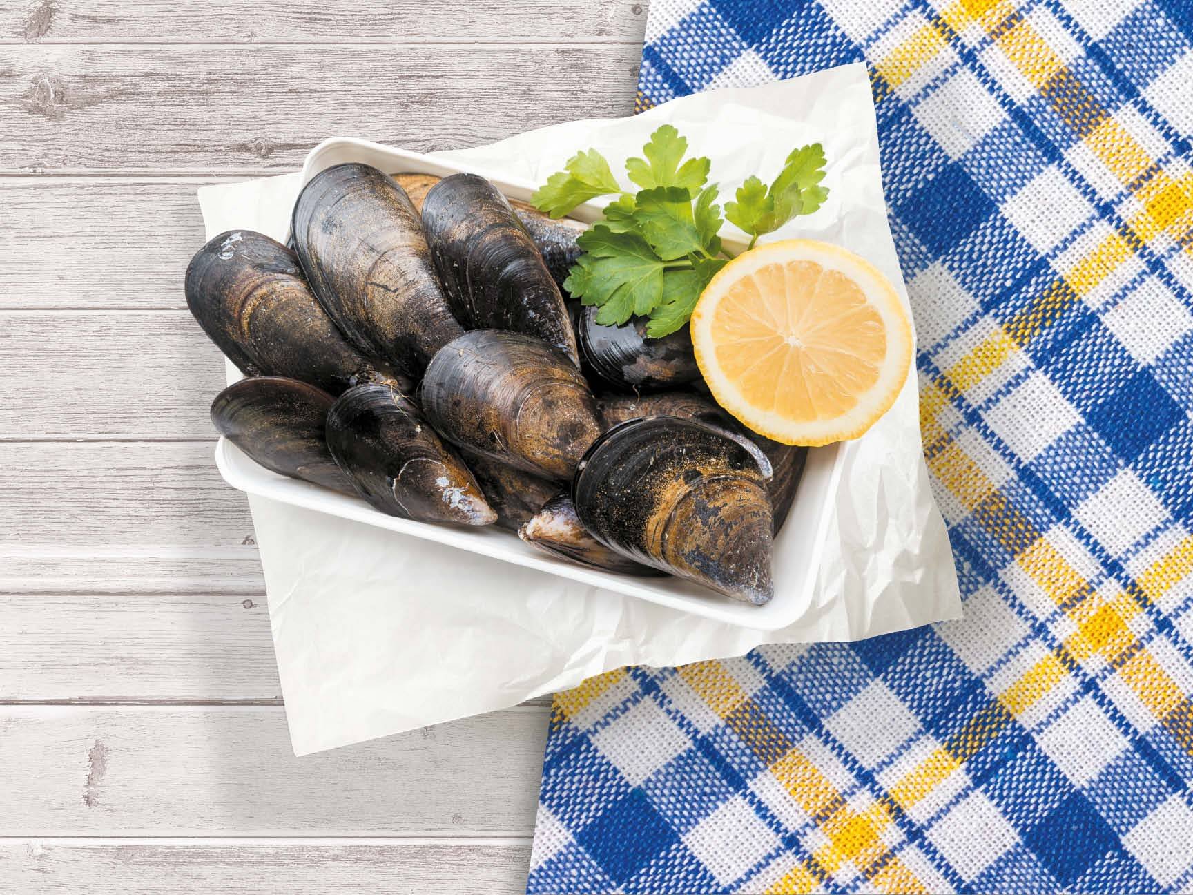 Macelleria e Pesce