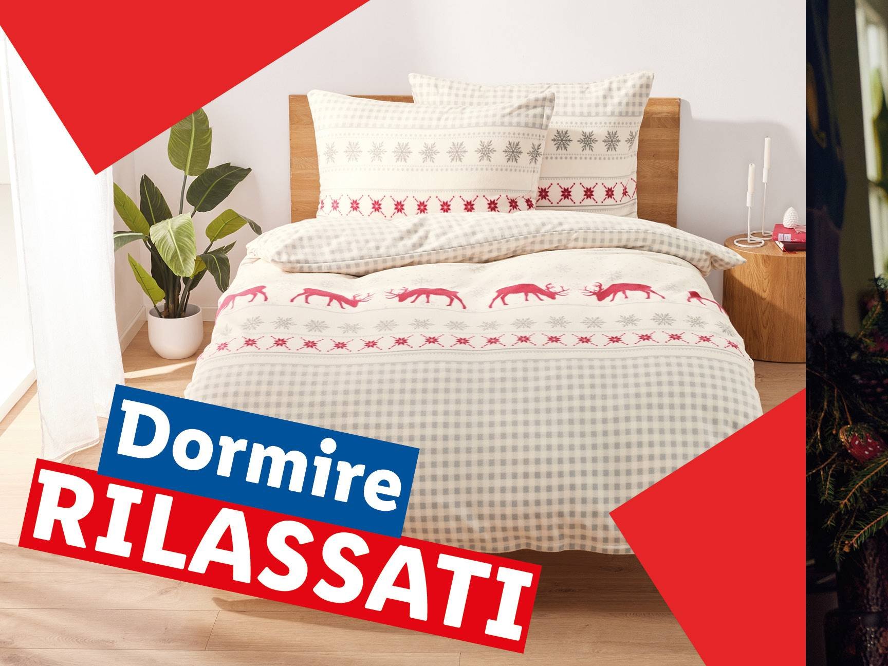 Comodi & Colorati