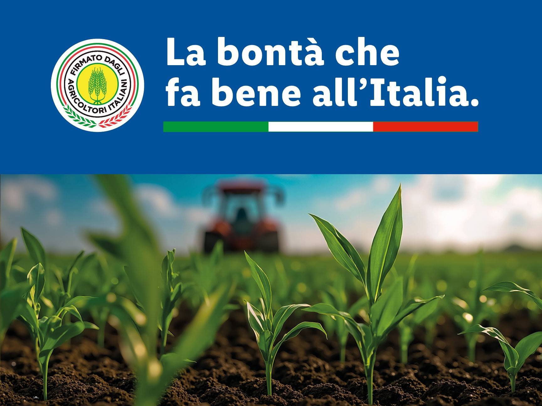 La bontà che fa bene all'Italia