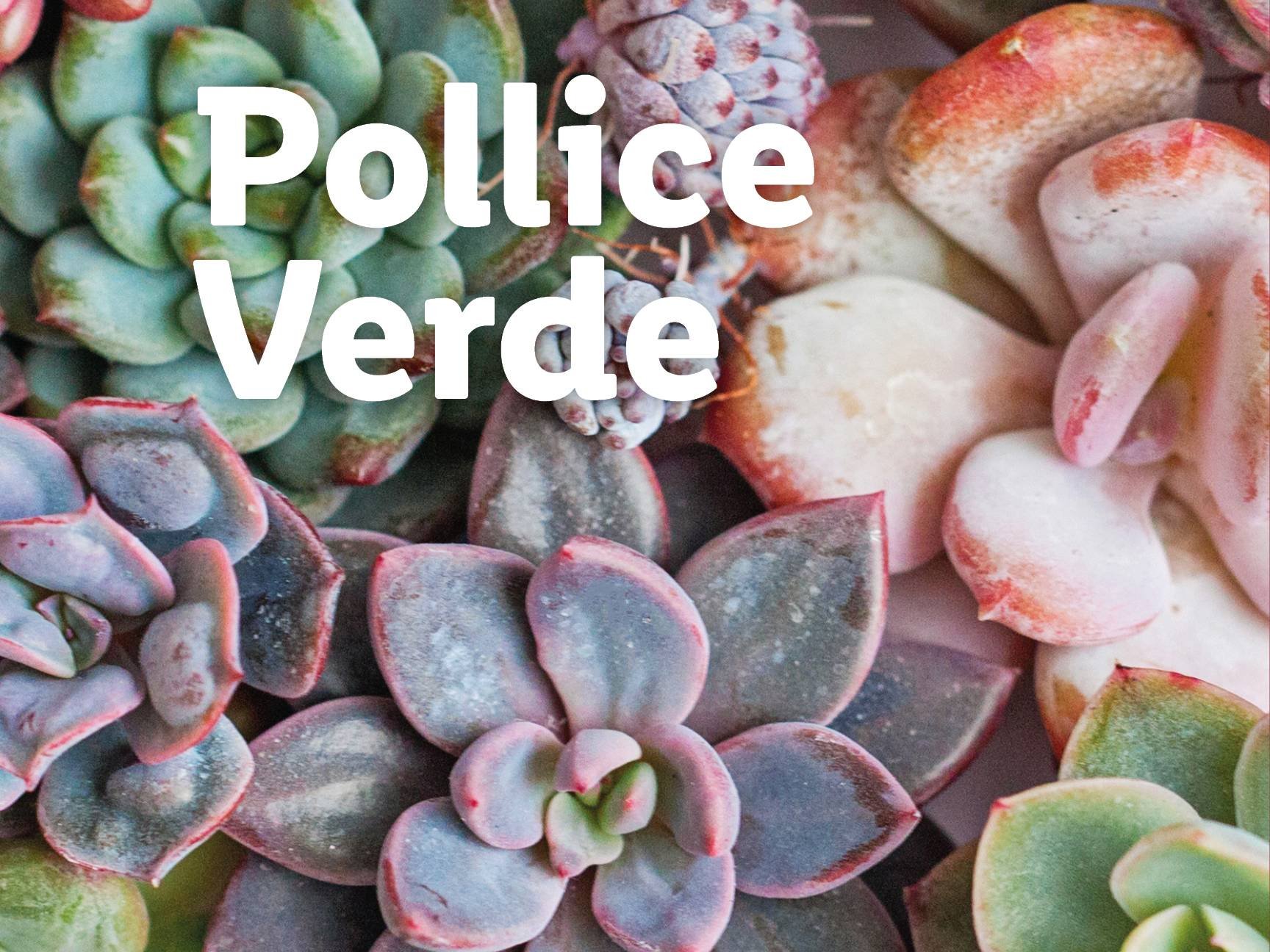 Piante e Recisi