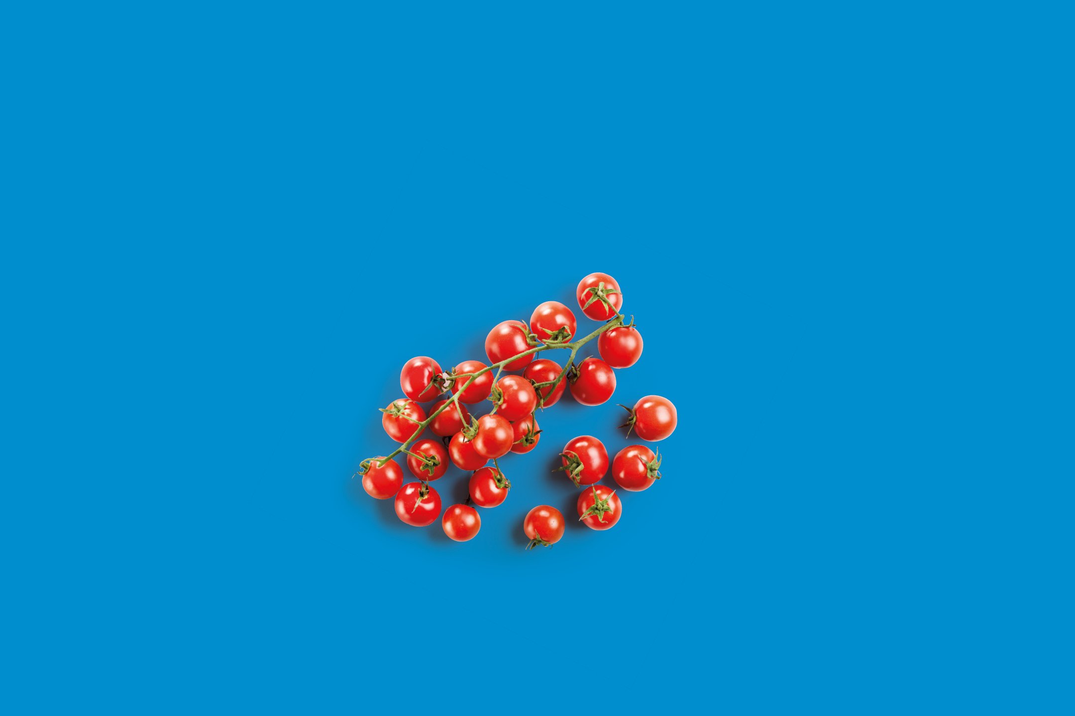 Frutta e Verdura
