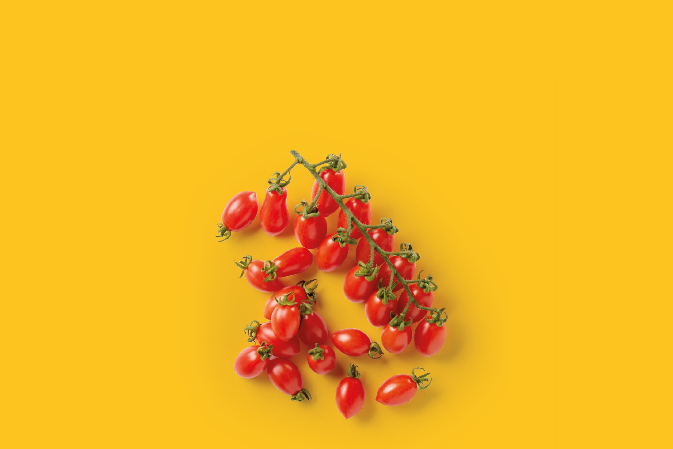 Frutta e Verdura