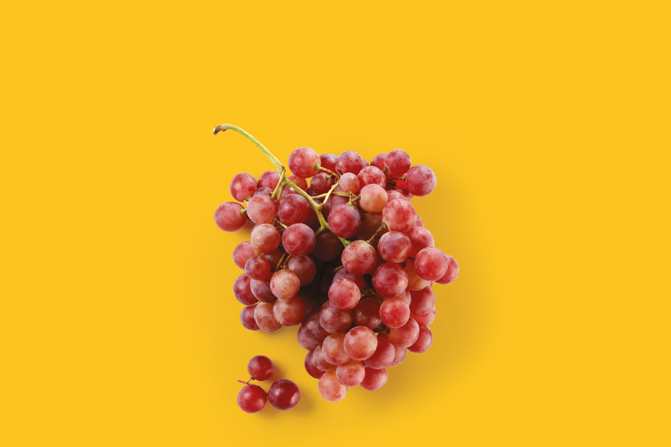 Frutta e Verdura