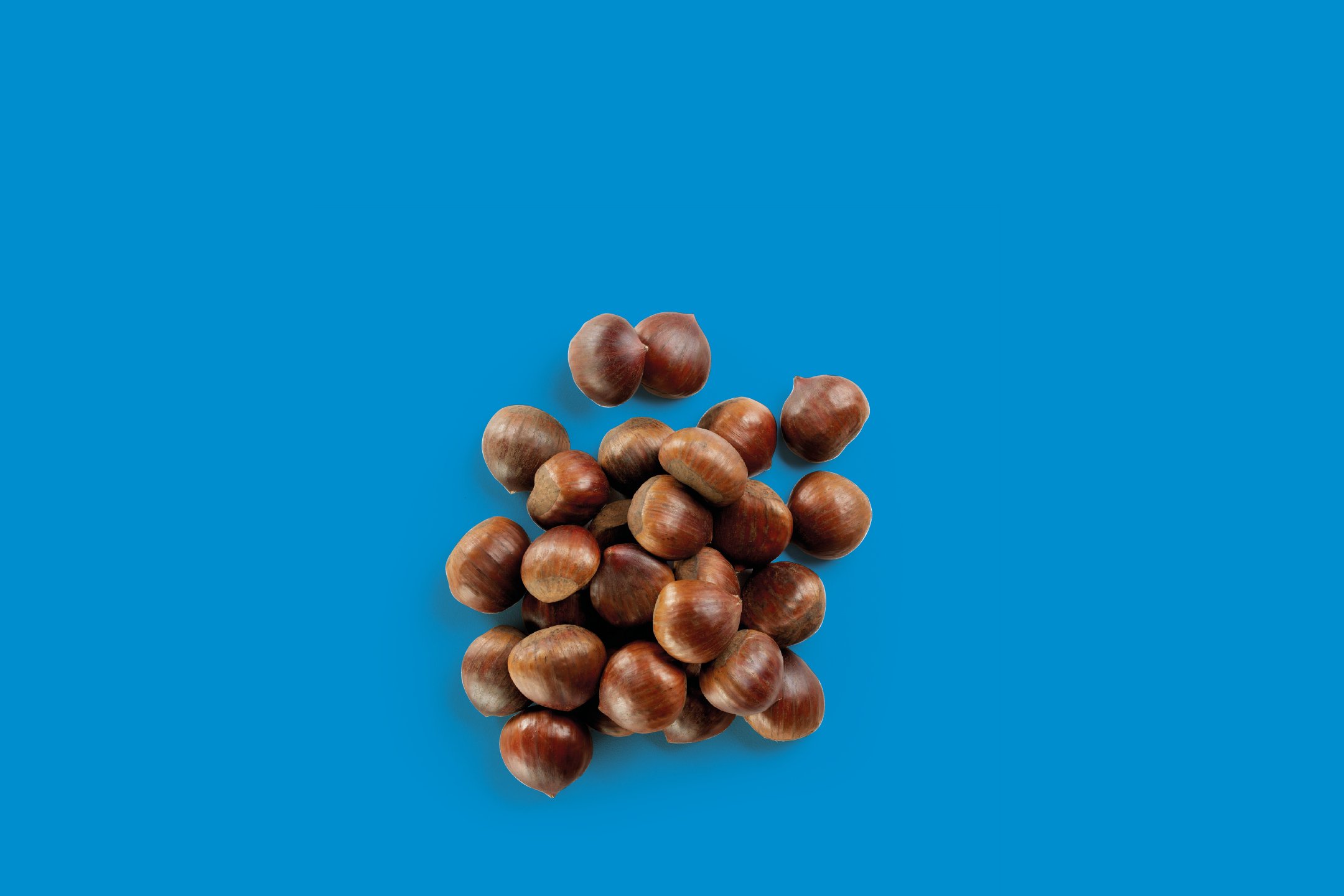 Frutta e Verdura