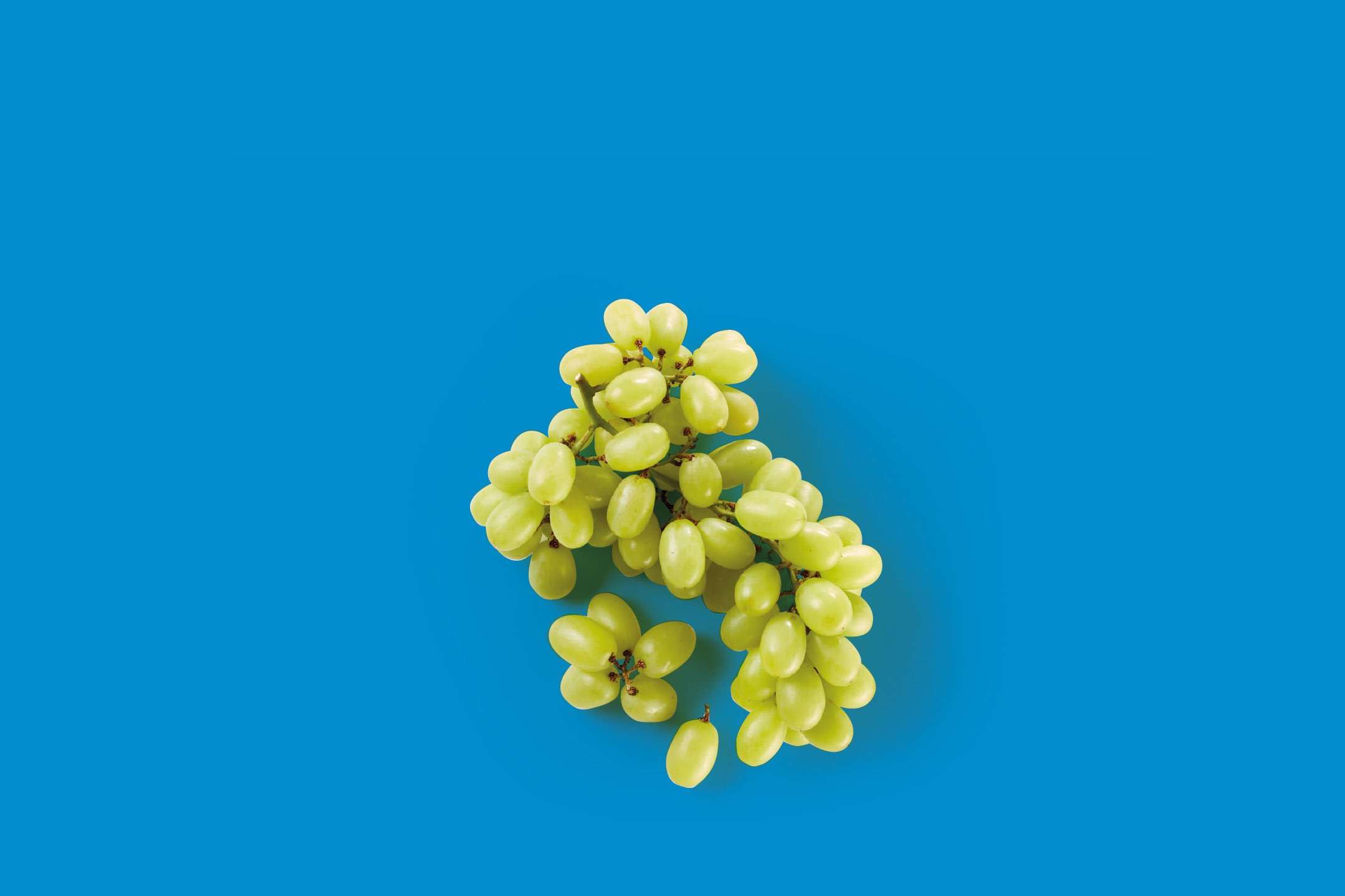 Frutta e Verdura