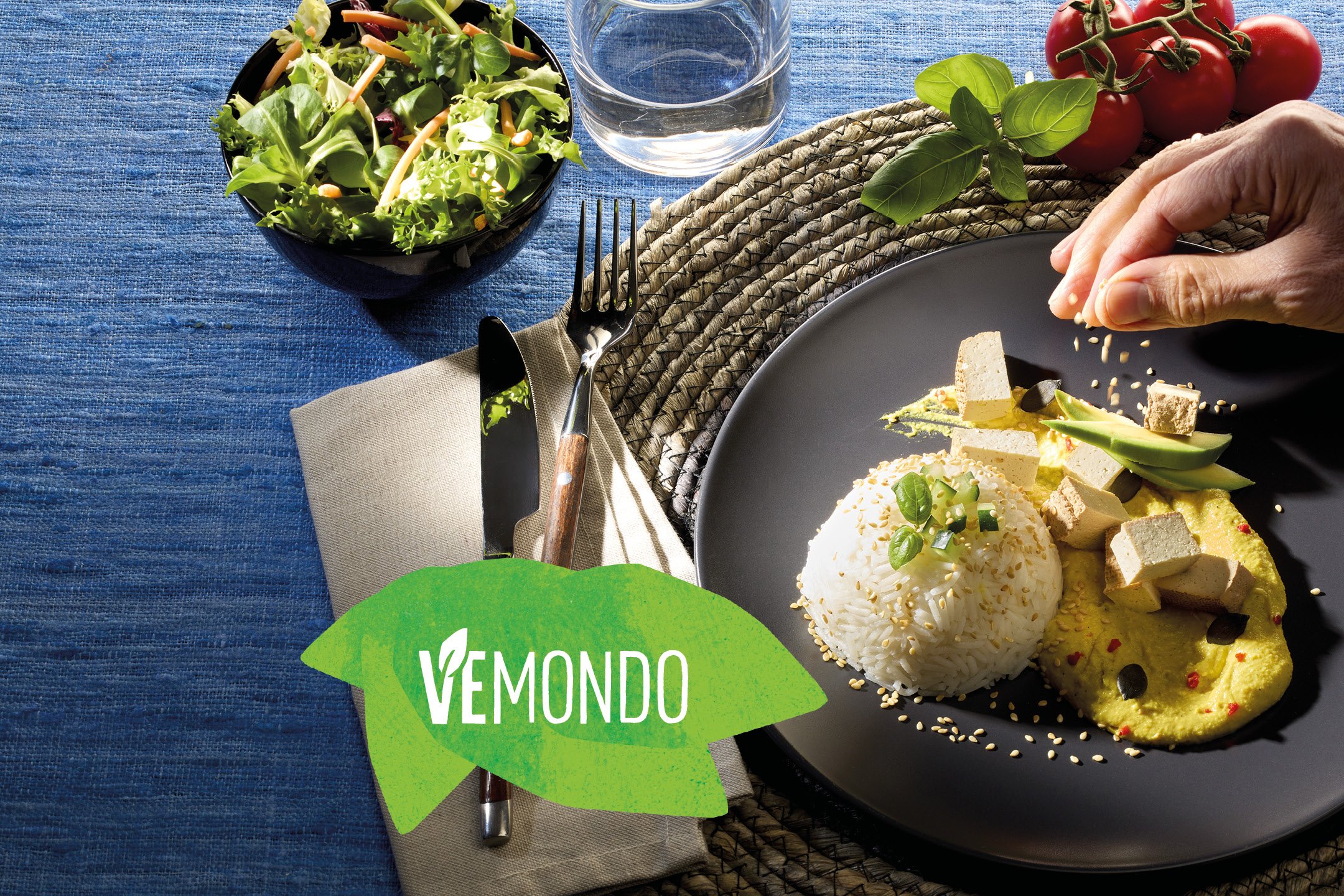 Vemondo