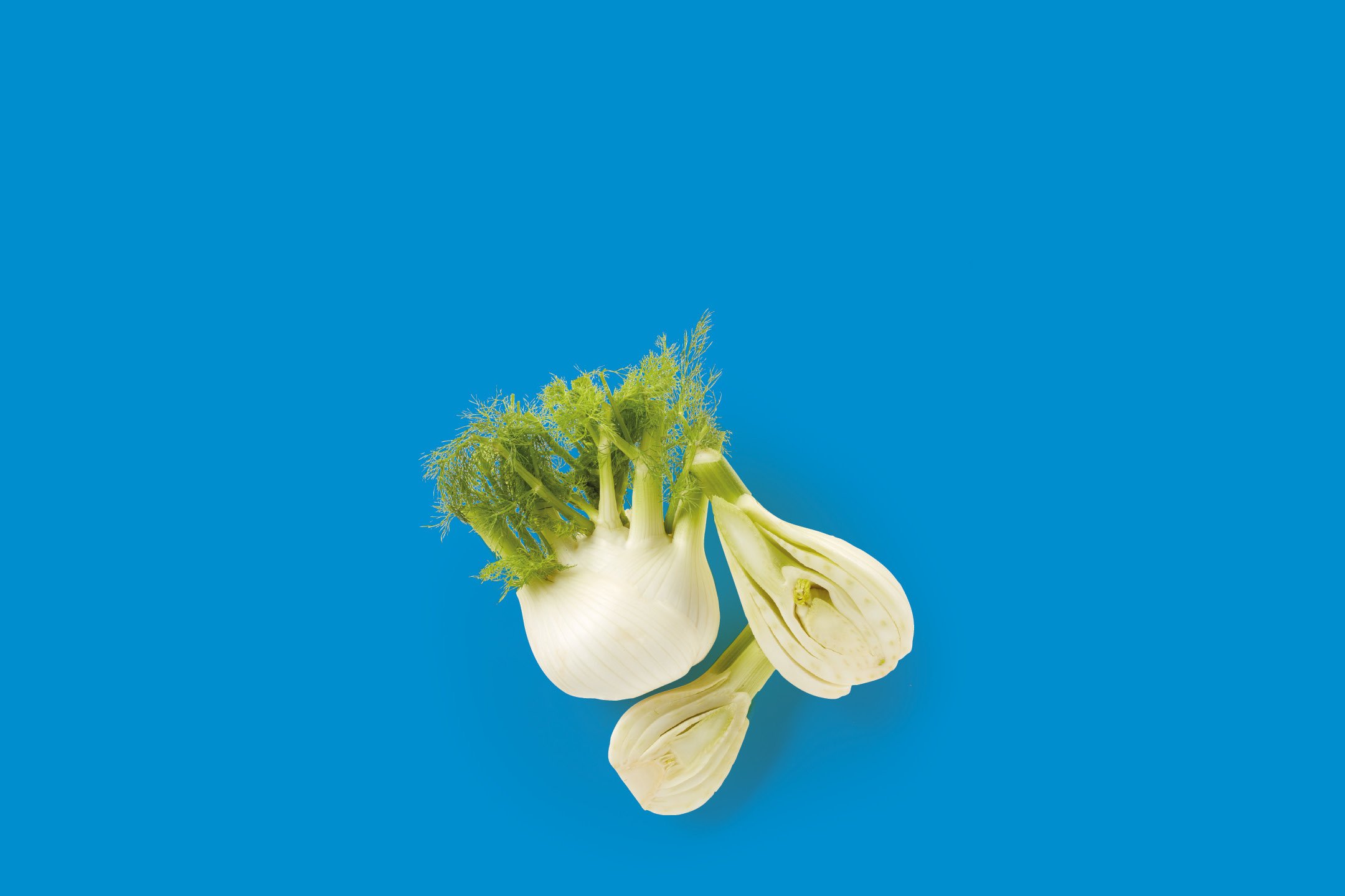 Frutta e Verdura
