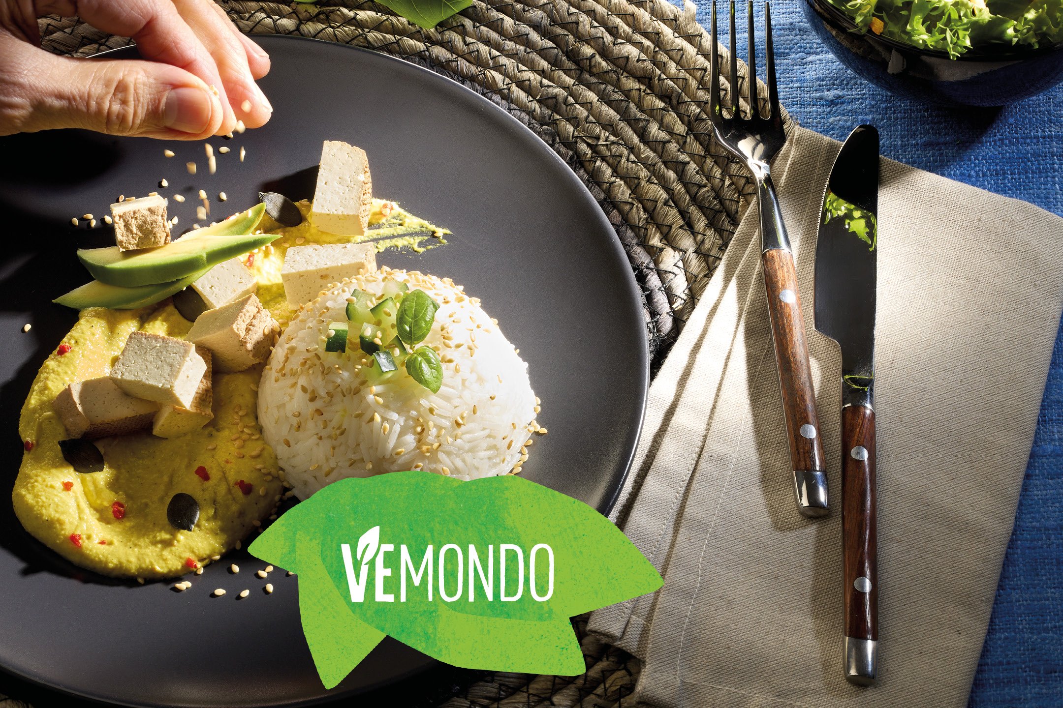 Vemondo