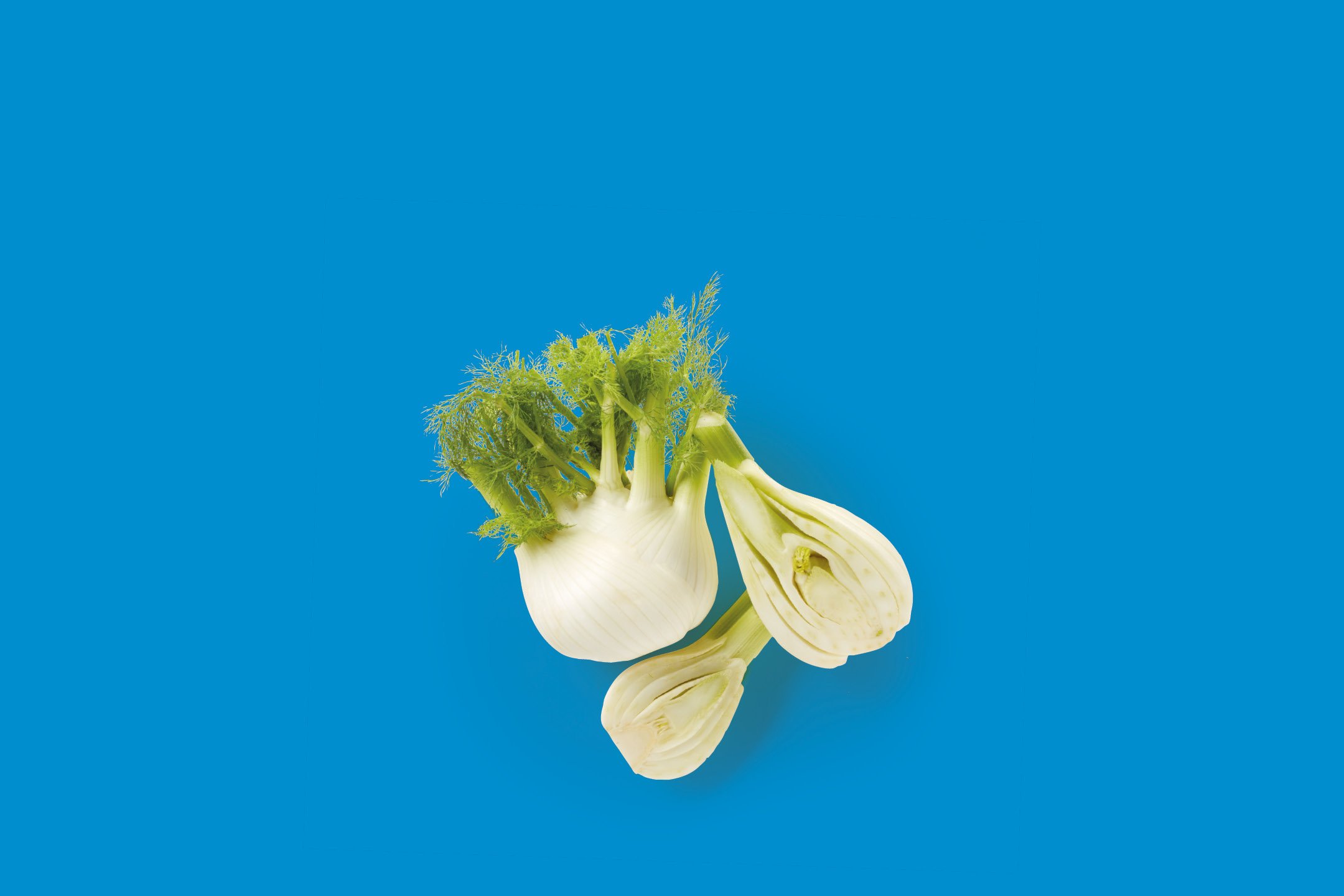 Frutta e Verdura