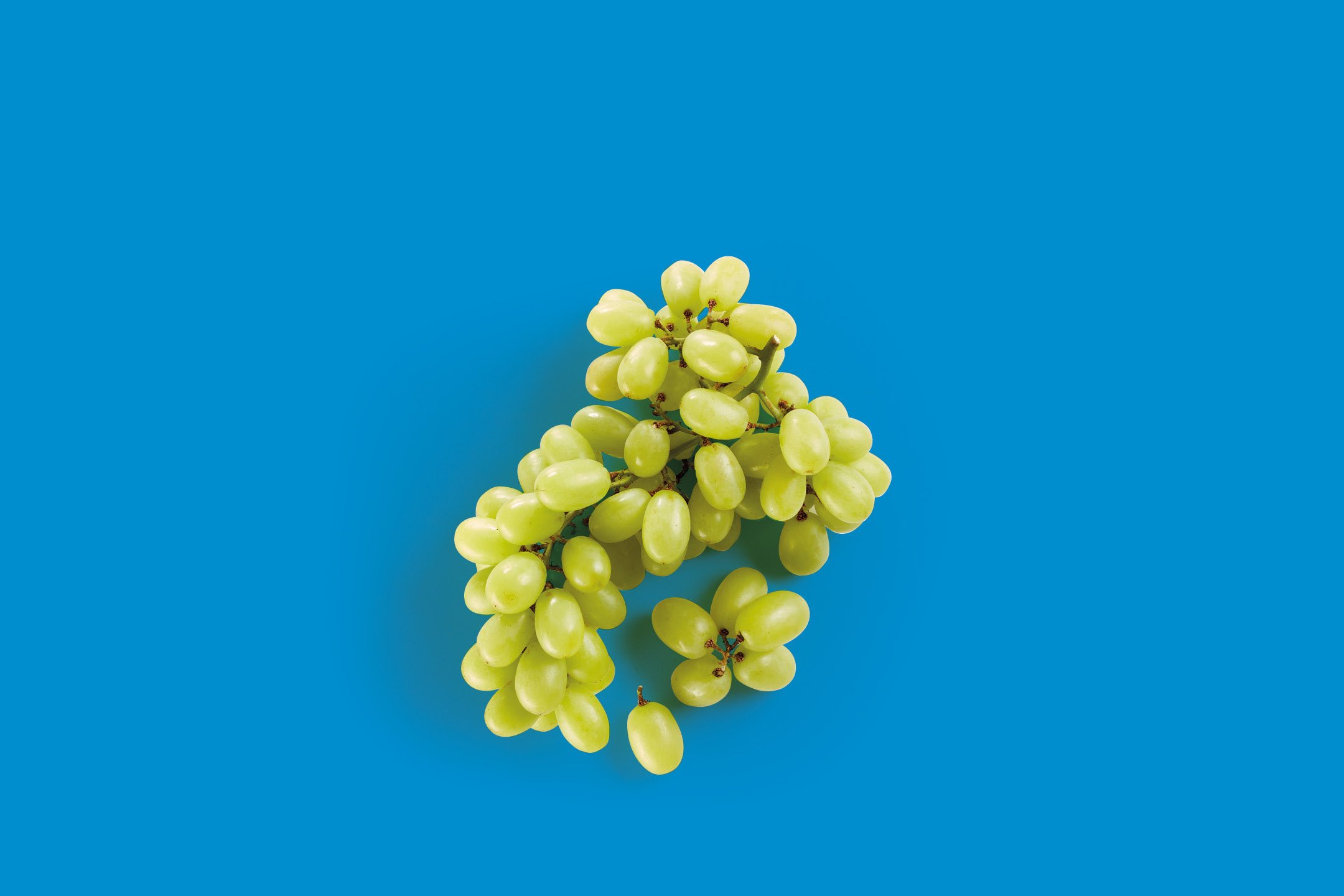 Frutta e Verdura