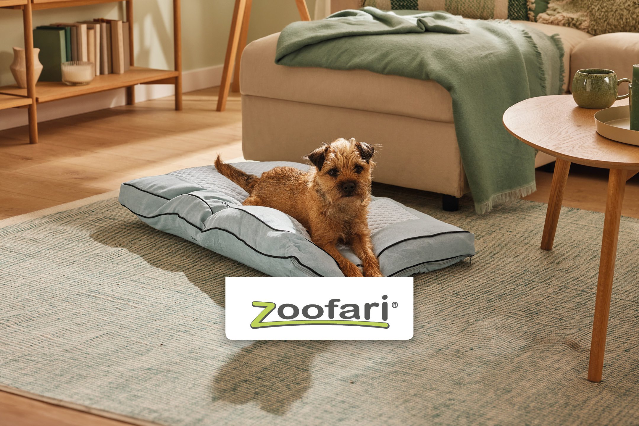Zoofari - Cura degli animali