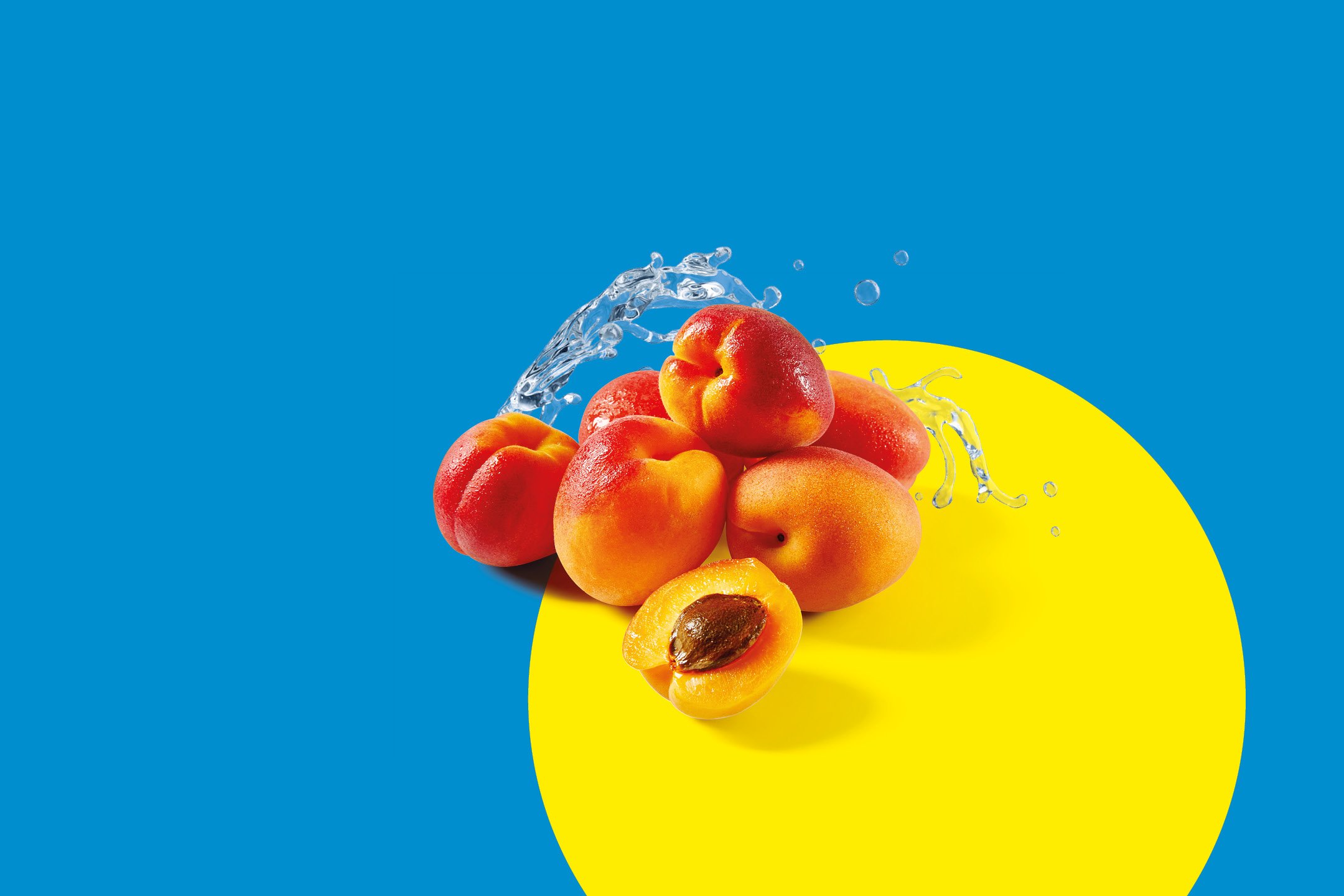 Frutta e Verdura