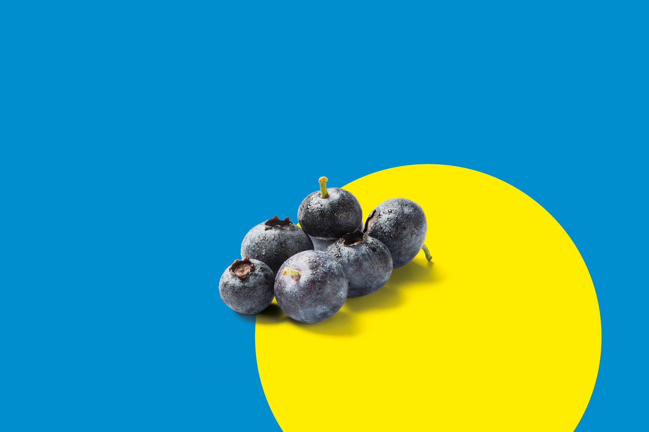 Frutta e Verdura