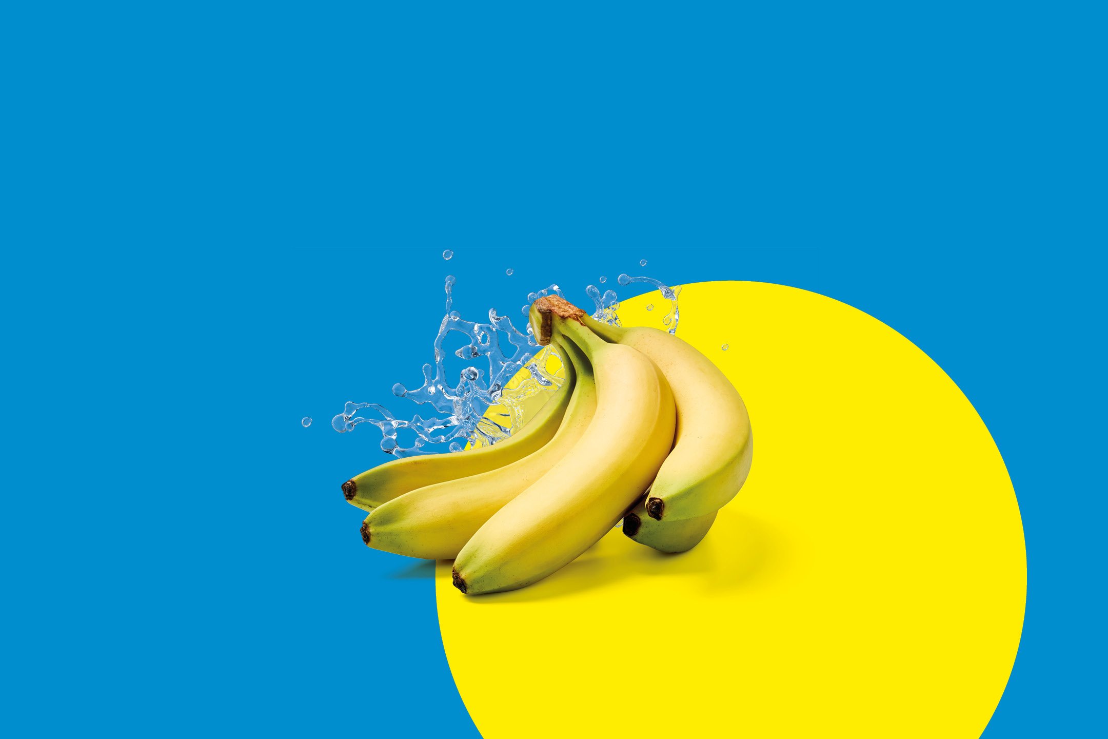 Frutta e Verdura