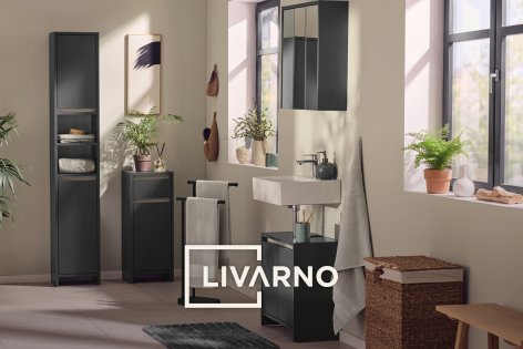 LIVARNO - Casa e Arredo - Offerte valide da gio 23 luglio 2026