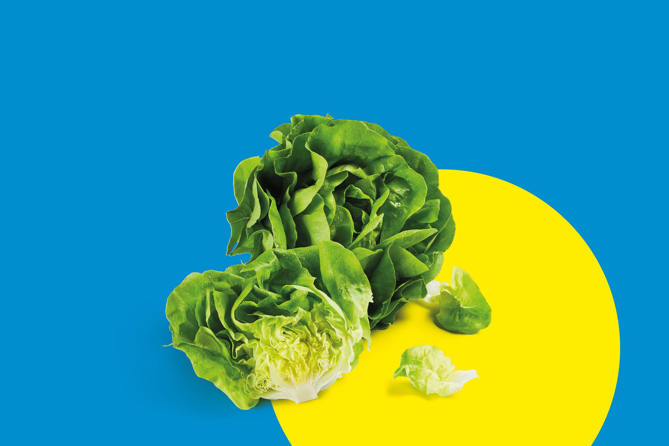 Frutta e Verdura