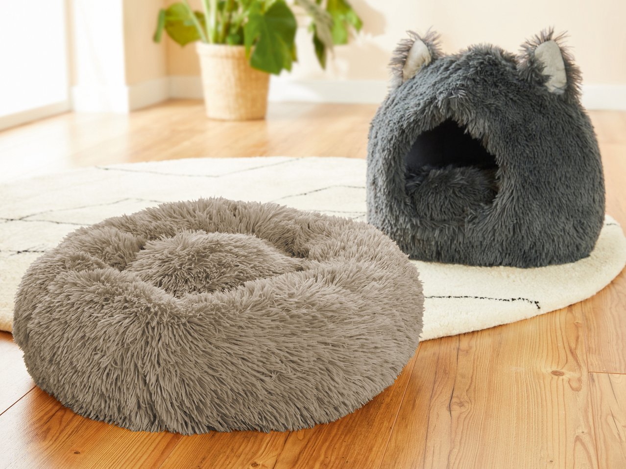 Cuccia per animali