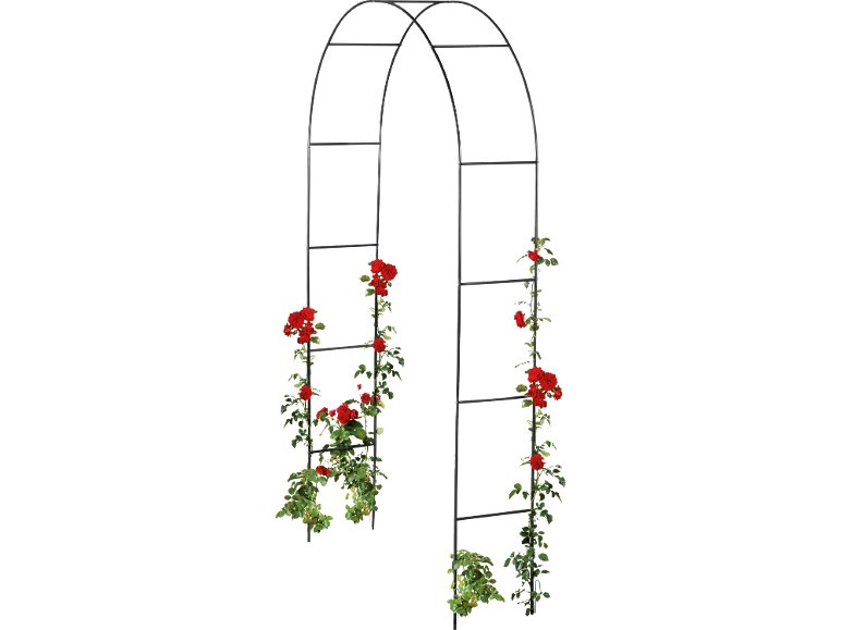 Supporto o arco per rampicanti