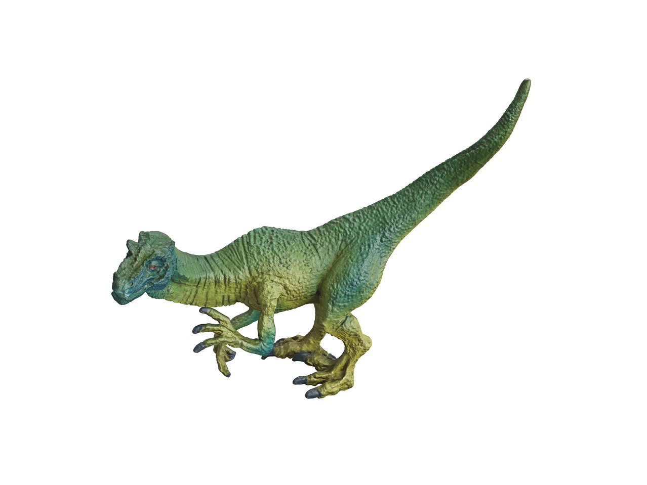 Set gioco animali