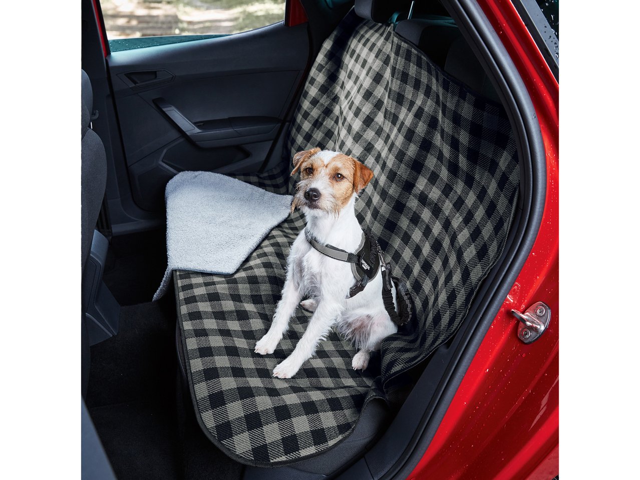 Telo auto o tappetino per cani