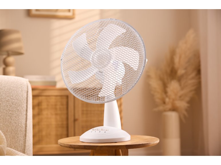 Ventilatore da tavolo