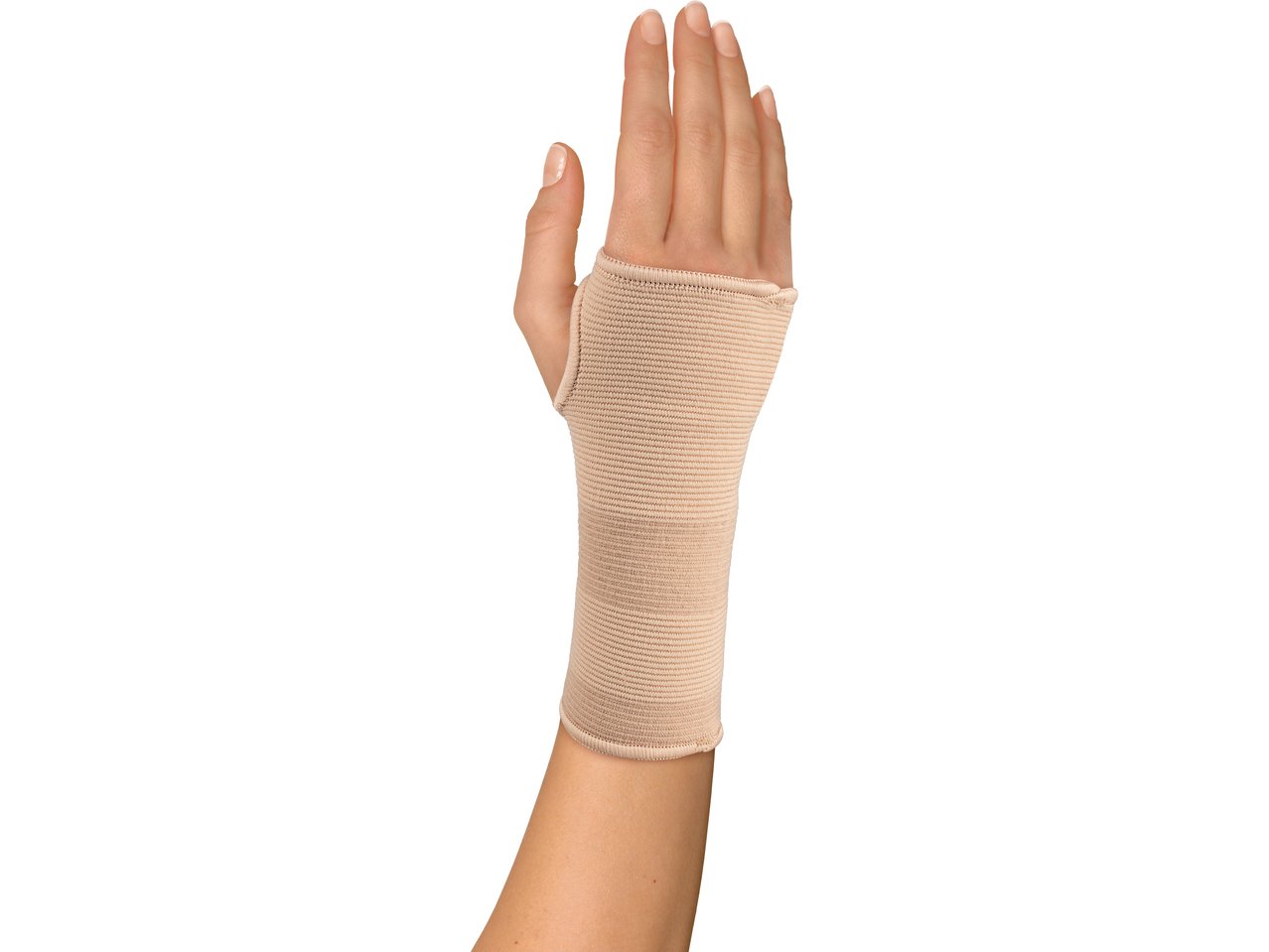 Fascia elastica