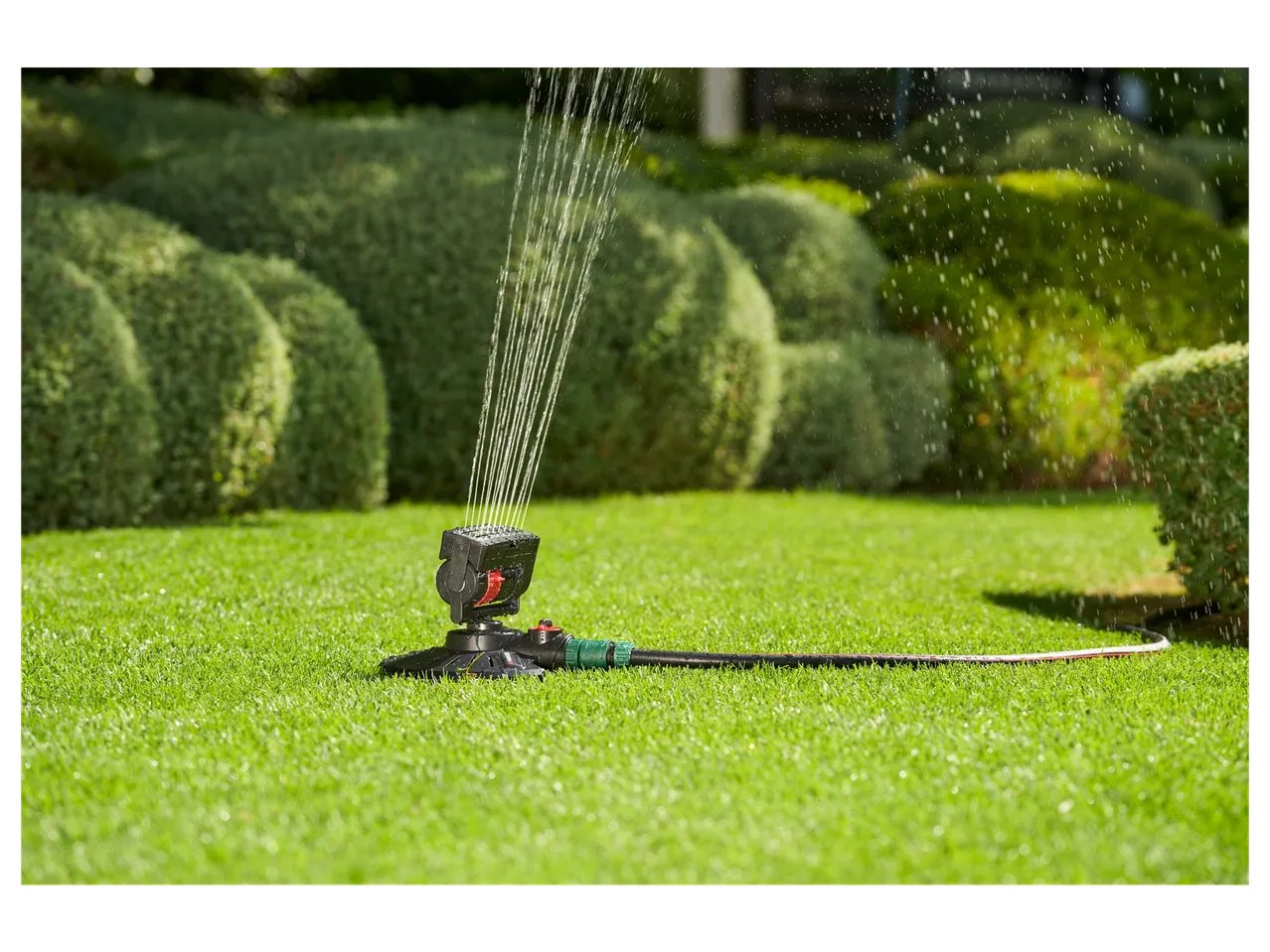 Irrigatore