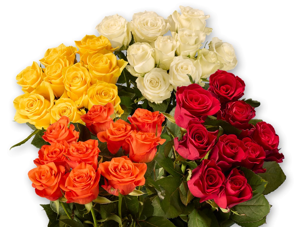 Mazzo di rose