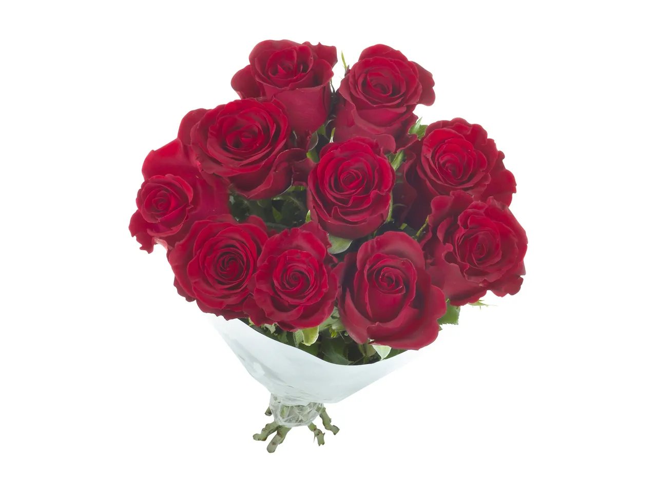 Mazzo di rose