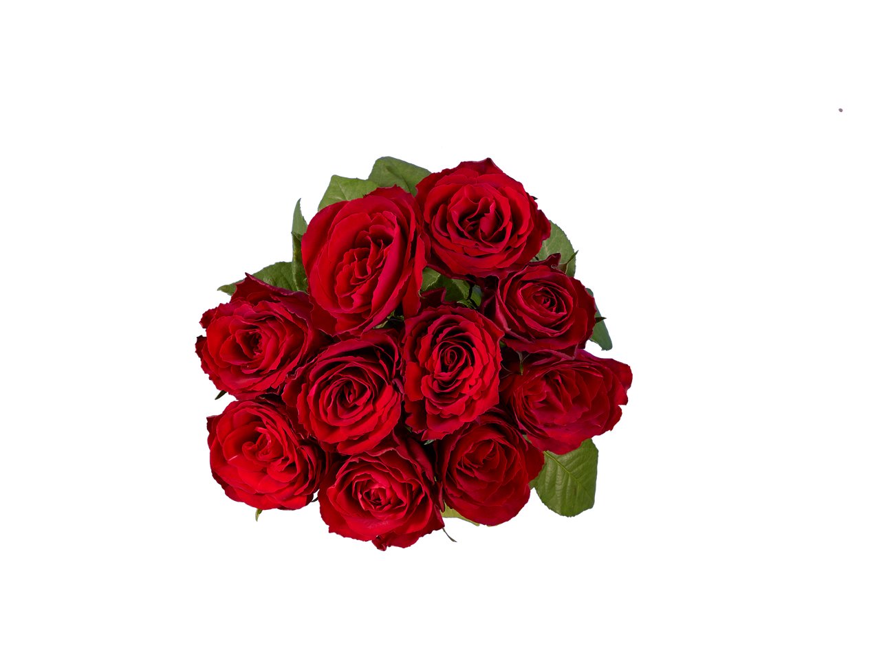 Mazzo di rose XXL