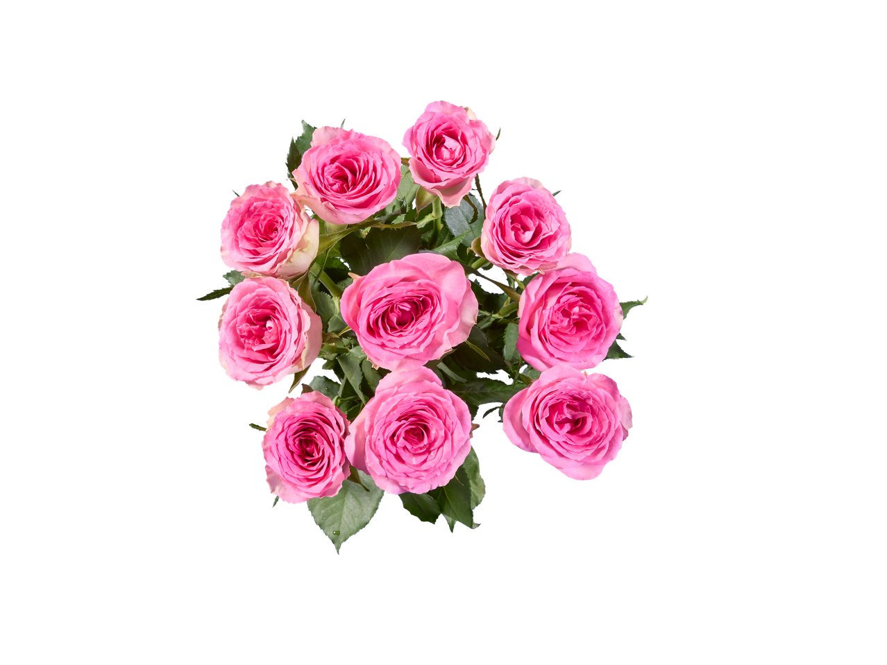 Mazzo di rose XXL