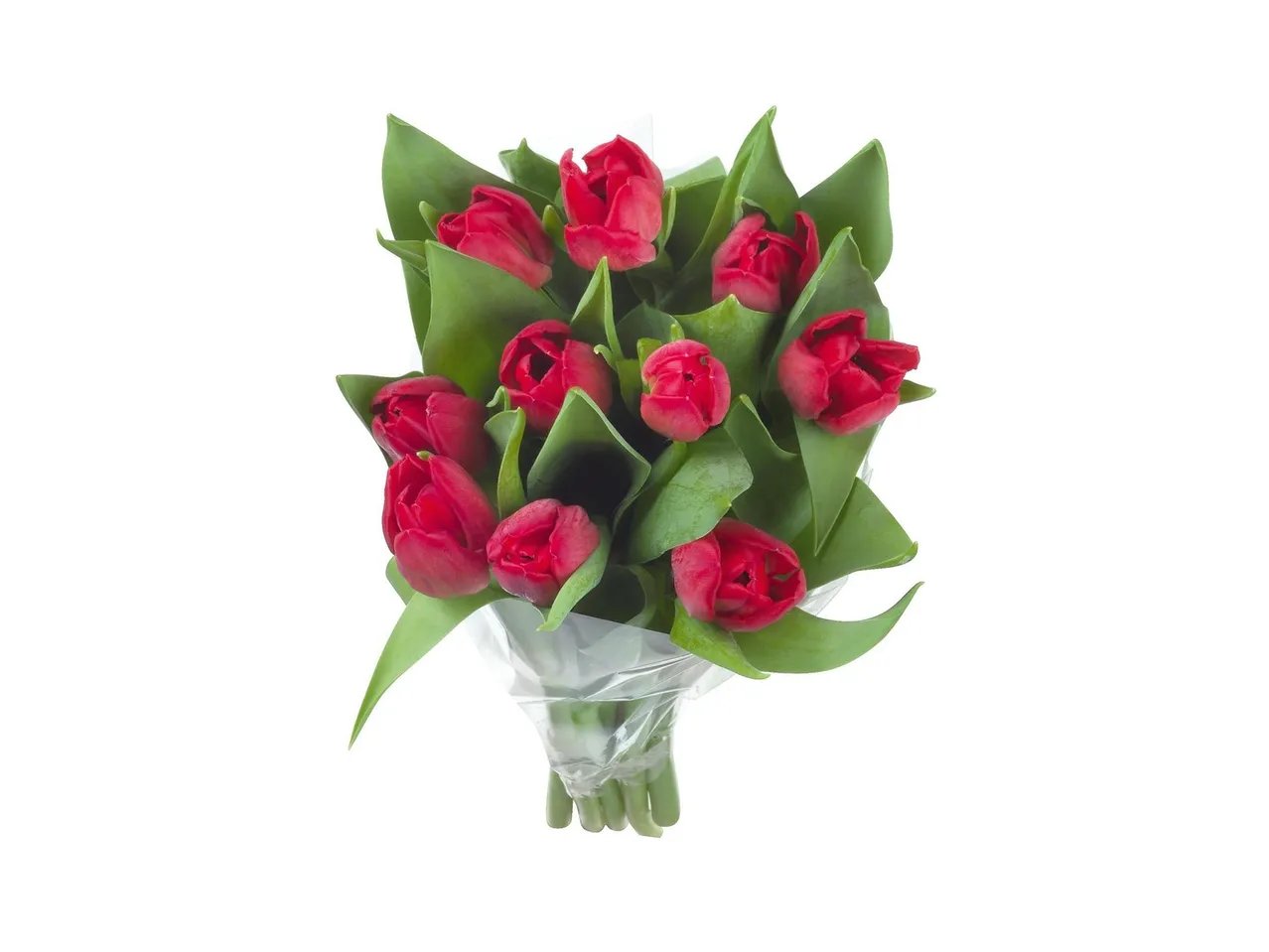 Mazzo di tulipani
