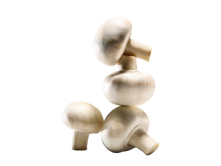 Champignon