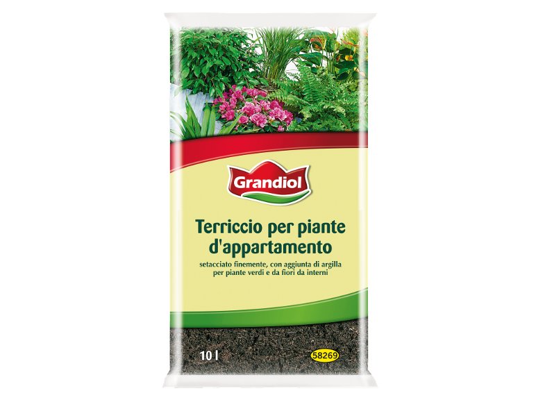 Terriccio per piante d’appartamento