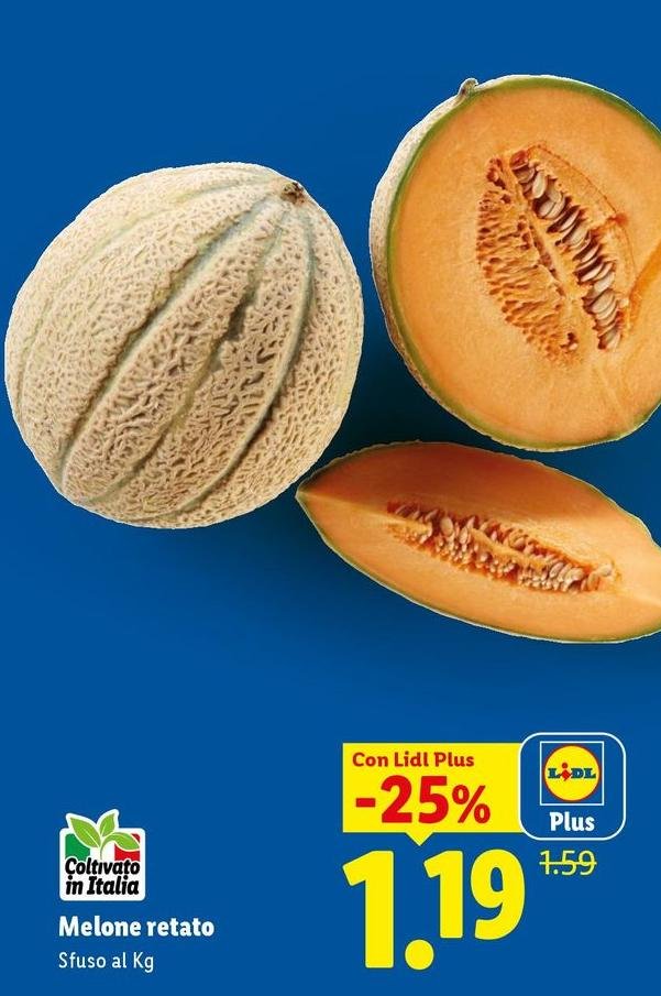 Melone Retato