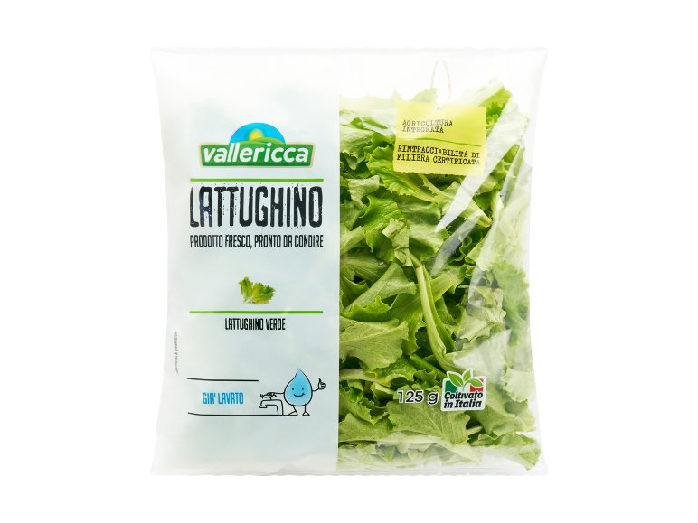 Lattughino