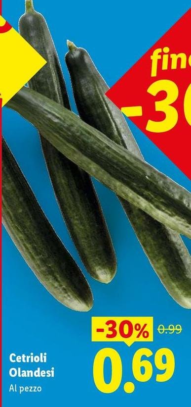 Cetrioli Olandesi