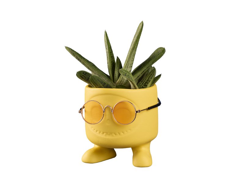 Succulente