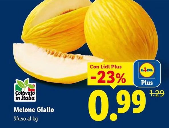 Melone Giallo