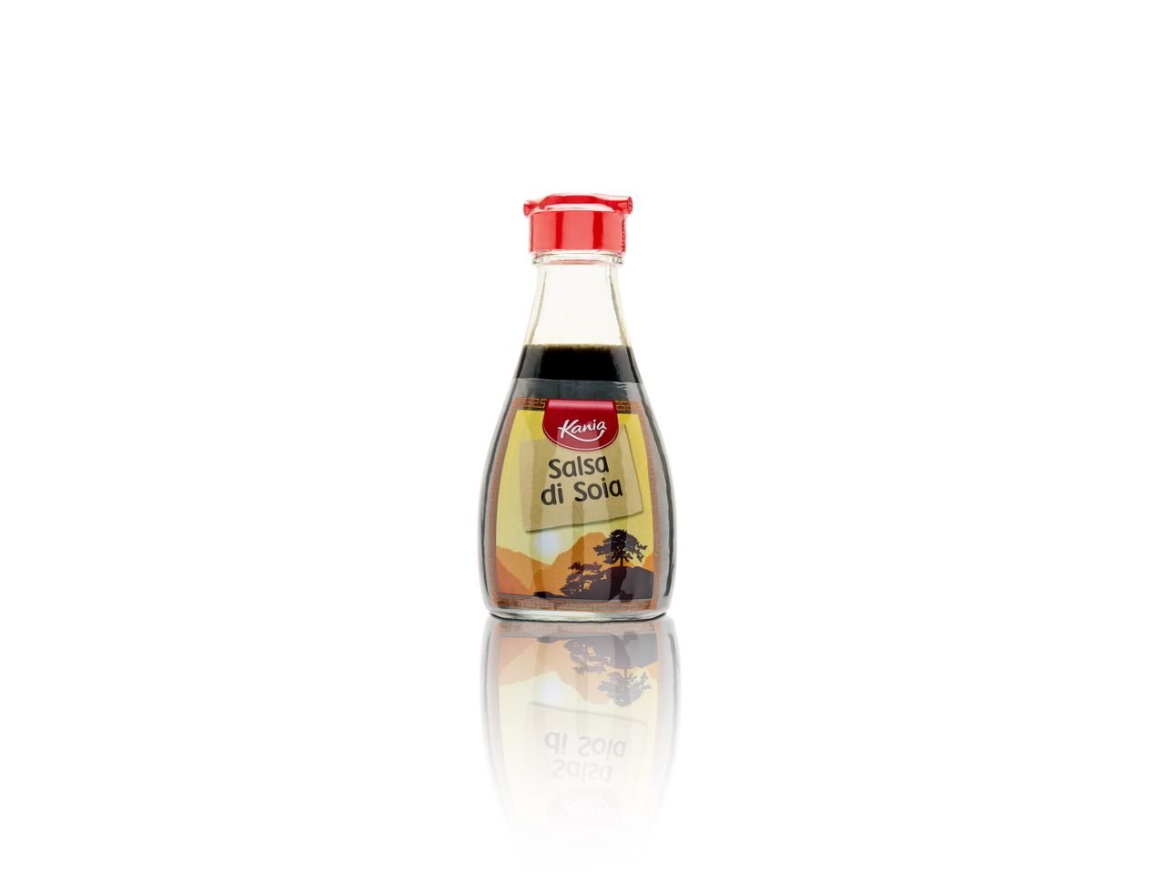 Salsa a base di soia