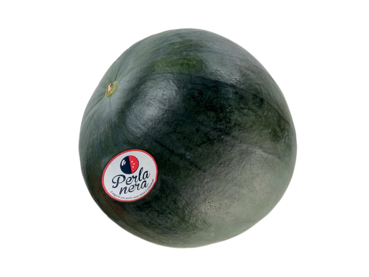 Anguria Perla Nera