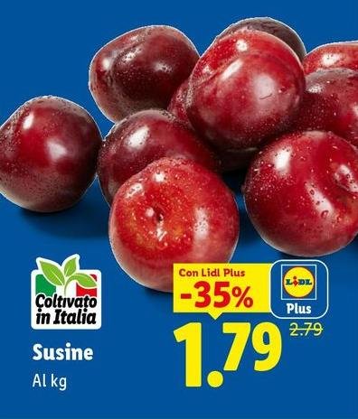 Susine