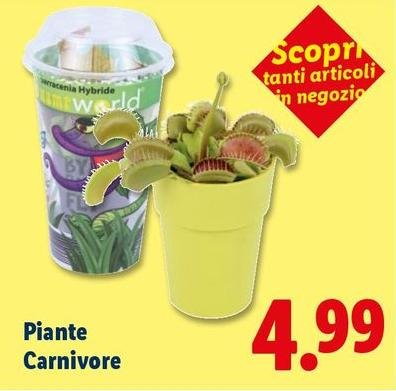 Piante Carnivore