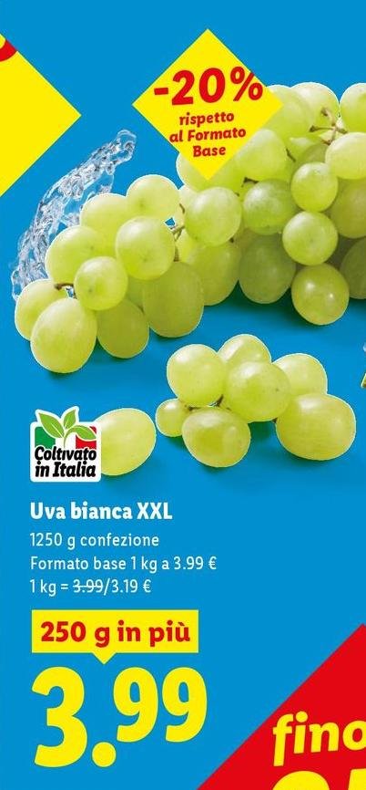 Uva Bianca XXL